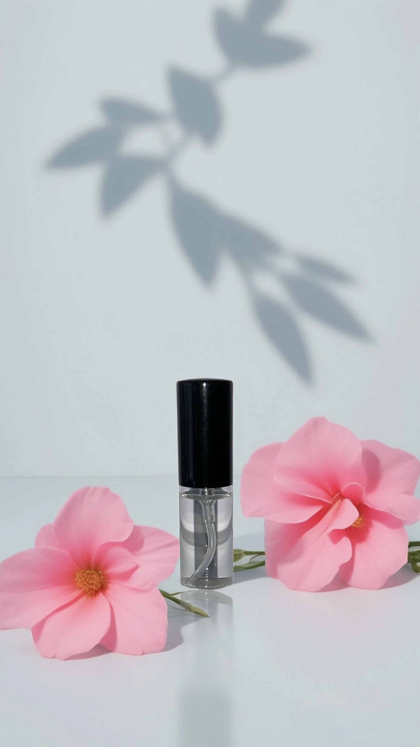 F42... inspiriert von  Miss Ab*olutely...